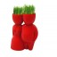 DIY Mini Green Plant Couple Ceramic Stand Pattern Plant Red