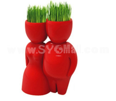 DIY Mini Green Plant Couple Ceramic Stand Pattern Plant Red