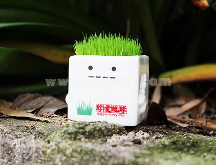 DIY Mini Green Plant Square Ceramic Stand Pattern Plant 