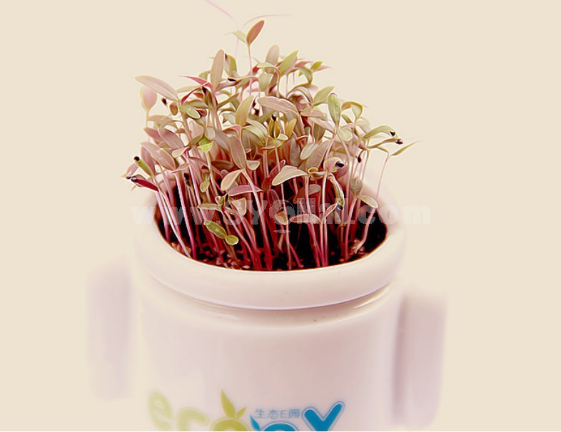 DIY Mini Green Plant Ceramic Stand Pattern Plant 