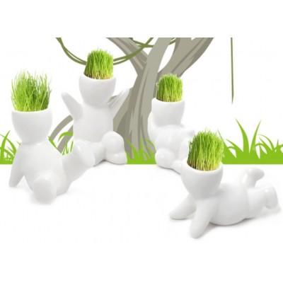 http://www.orientmoon.com/63739-thickbox/diy-mini-green-plant-ceramic-stand-pattern-plant.jpg