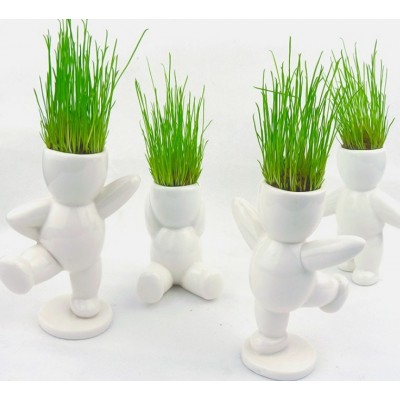 http://www.orientmoon.com/63764-thickbox/diy-mini-green-plant-ceramic-stand-pattern-plant.jpg