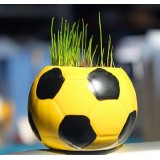Wholesale - DIY Mini Green Plant Football Ceramic Stand Pattern Plant 