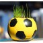 DIY Mini Green Plant Football Ceramic Stand Pattern Plant 