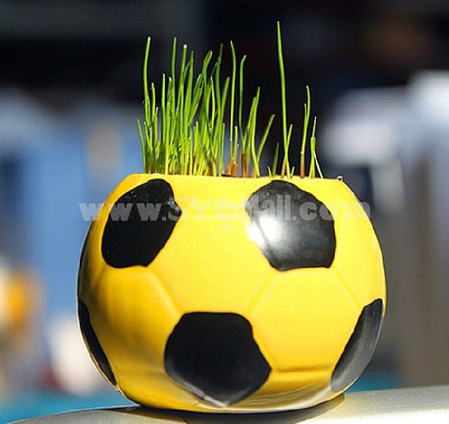 DIY Mini Green Plant Football Ceramic Stand Pattern Plant 