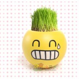 Wholesale - DIY Mini Green Plant Smile Face Ceramic Stand Pattern Plant 