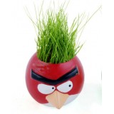 Wholesale - DIY Mini Green Plant Angry Bird Ceramic Stand Pattern Plant Red