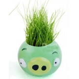 Wholesale - DIY Mini Green Plant Angry Bird Ceramic Stand Pattern Plant Green