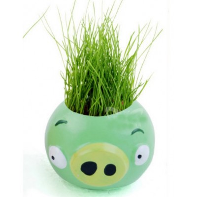 http://www.orientmoon.com/63810-thickbox/diy-mini-green-plant-angry-bird-ceramic-stand-pattern-plant-green.jpg