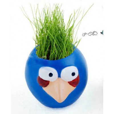 http://www.orientmoon.com/63812-thickbox/diy-mini-green-plant-angry-bird-ceramic-stand-pattern-plant-blue.jpg