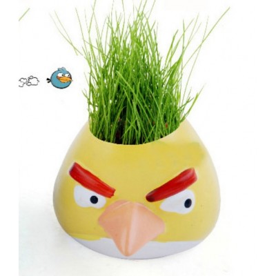 http://www.orientmoon.com/63814-thickbox/diy-mini-green-plant-angry-bird-ceramic-stand-pattern-plant-yellow.jpg