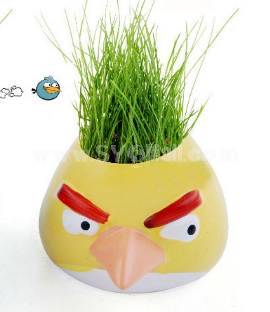 DIY Mini Green Plant Angry Bird Ceramic Stand Pattern Plant Yellow