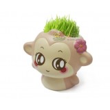 Wholesale - Vogue Horticulture DIY Mini Green Plant YoCi Ceramic Stand Pattern Plant 