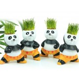 Wholesale - Vogue Horticulture DIY Mini Green Plant Kung Fu Panda Ceramic Stand Pattern Plant 