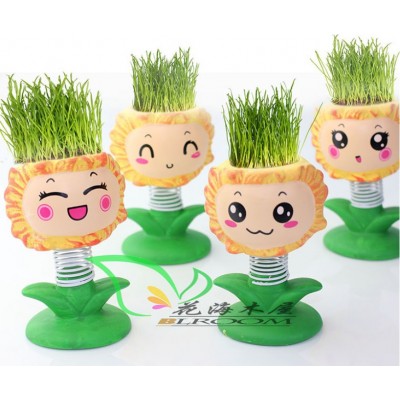 http://www.orientmoon.com/63863-thickbox/vogue-horticulture-diy-mini-green-plant-sunflower-ceramic-stand-pattern-plant.jpg