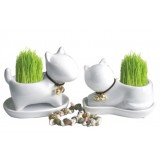 Wholesale - Vogue Horticulture DIY Mini Green Plant Dog Ceramic Stand Pattern Plant 