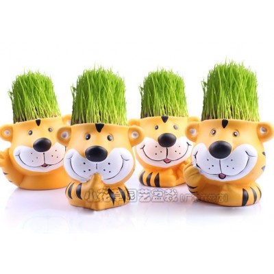 http://www.orientmoon.com/63934-thickbox/vogue-horticulture-diy-mini-green-plant-tiger-ceramic-stand-pattern-plant.jpg