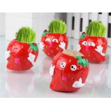 Wholesale - Vogue Horticulture DIY Mini Green Plant Strawberry Ceramic Stand Pattern Plant 