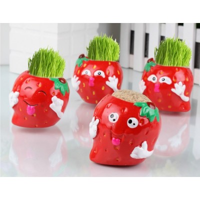 http://www.orientmoon.com/63945-thickbox/vogue-horticulture-diy-mini-green-plant-strawberry-ceramic-stand-pattern-plant.jpg