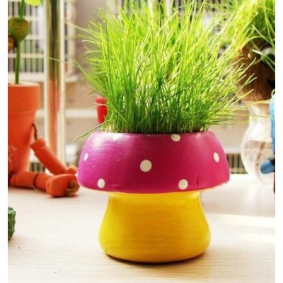 http://www.orientmoon.com/63953-thickbox/vogue-horticulture-diy-mini-green-plant-mushroom-ceramic-stand-pattern-plant.jpg