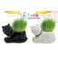 Vogue Horticulture DIY Mini Green Plant Cat Ceramic Stand Pattern Plant 