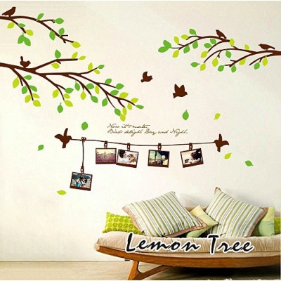 http://www.orientmoon.com/64551-thickbox/lemon-tree-removable-wall-stickers-green-leaves-and-birds-7831-in.jpg