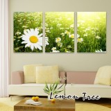 Wholesale - Modern Simple Style Home-super 3pcs 15mm Ply Waterproof Flower Wall Frameless Mural Painting Each Size 40*60cm