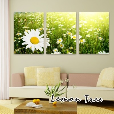 http://www.orientmoon.com/65797-thickbox/modern-simple-style-home-super-3pcs-15mm-ply-waterproof-flower-wall-frameless-mural-painting-each-size-4060cm.jpg