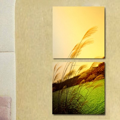 http://www.orientmoon.com/65827-thickbox/modern-simple-style-home-super-2pcs-15mm-ply-waterproof-landscape-wall-frameless-mural-painting-each-size-3030cm.jpg