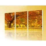 Wholesale - Modern Simple Style Home-super 3pcs 15mm Ply Waterproof Wall Frameless Mural Painting Each Size 40*60cm