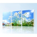 Wholesale - Modern Simple Style Home-super 3pcs 15mm Ply Waterproof Wall Frameless Mural Painting Each Size 40*60cm