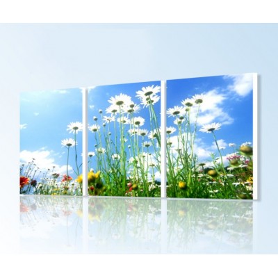 http://www.orientmoon.com/65855-thickbox/modern-simple-style-home-super-3pcs-15mm-ply-waterproof-wall-frameless-mural-painting-each-size-4060cm.jpg