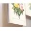 Modern Simple Style Home-super 2pcs 15mm Ply Waterproof Rose Wall Frameless Mural Painting Each Size 40*60cm