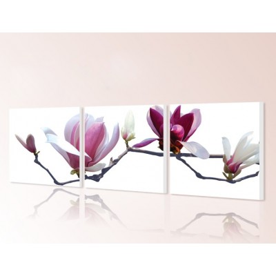 http://www.orientmoon.com/65954-thickbox/modern-simple-style-home-super-3pcs-15mm-ply-waterproof-wall-frameless-mural-painting-each-size-3030cm.jpg