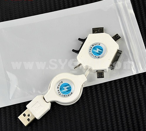 Quincuncial Retractable Car Date Cable