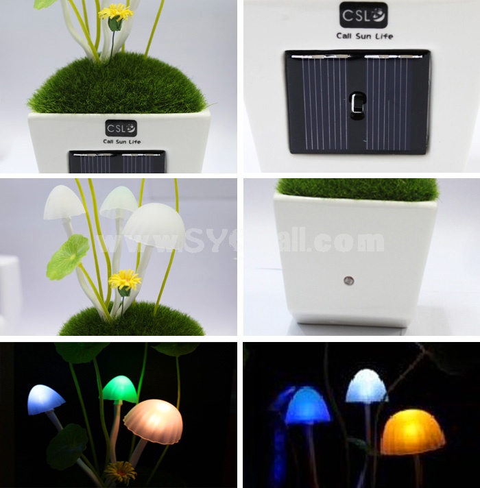 Fantastic Solar Power Mushroom LED Night Light