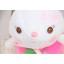 Lovely Rabbit Plush Toys Set 2Pcs 18*12cm
