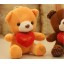 Lovely Bear 12s Record Function Plush Toy 18*13cm 2PCs
