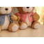 Lovely Teddy Bear 12s Record Function Plush Toy 18*13cm