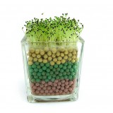 Wholesale - Colorful Carbon Ball DIY Green Plant