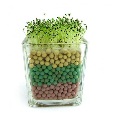 http://www.orientmoon.com/69024-thickbox/colorful-carbon-ball-diy-green-plant.jpg
