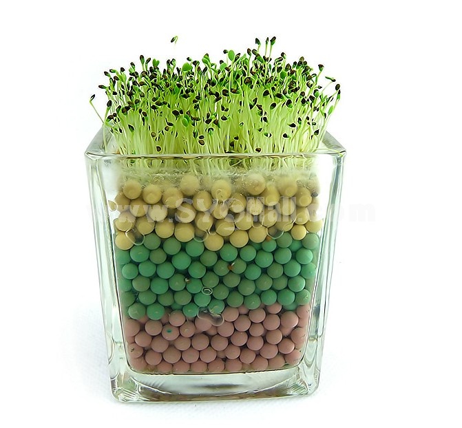 Colorful Carbon Ball DIY Green Plant
