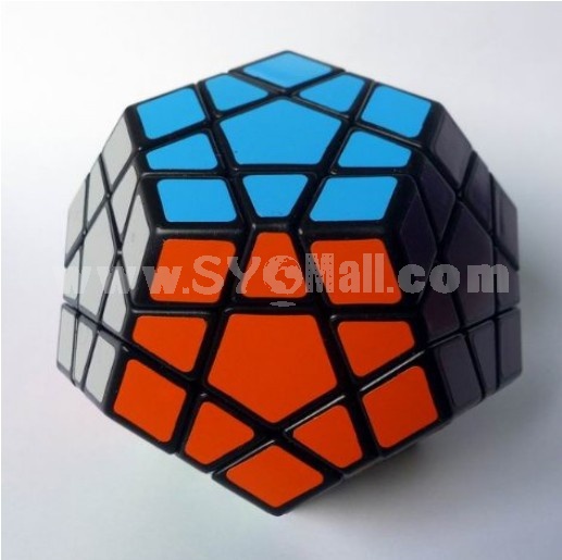 Shengshou Megaminx Puzzle Speed Cube