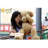 Wholesale - Valentine's Shy Bear Plush Toy 50cm