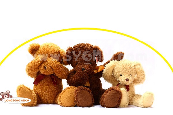 Cute Shy Bear Plush Toy 50cm Valentines Gift