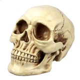 Wholesale - Creative Holloween Resin Skull Artware Adult
