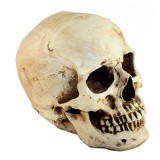 Wholesale - Creative Holloween Resin Skull Artware Child