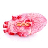 Wholesale - Creative Holloween Trick Toy Latex Simulation Heart