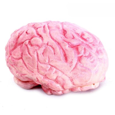 http://www.orientmoon.com/73326-thickbox/creative-holloween-trick-toy-rubber-simulation-brain.jpg