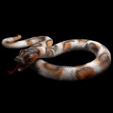 Wholesale - Creative Holloween Trick Toy Simulation Snake